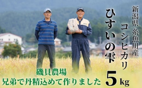 新潟県産コシヒカリ『ひすいの雫』５kg　早川の清流が育んだ美味しいお米　特別栽培米