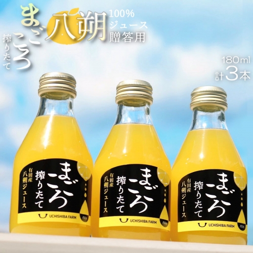 ZE6388n_【まごころ搾りたて】八朔 100%ジュース 180ml × 3本 贈答用 491224 - 和歌山県湯浅町