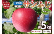 りんご サンふじ 葉取らず 食べきりサイズ 約5kg (20〜23玉)|青森産 つがる 青森りんご リンゴ 林檎 フルーツ 果物 令和6年 2024年 ふじ 葉とらず りんご サンフジ [0758]