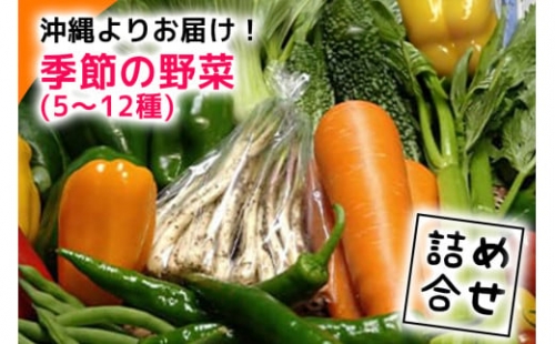 【2023年発送】沖縄よりお届け！季節の野菜詰め合わせ