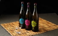 定番 飲み比べ 3本セット (桃・緑・青) 720ml 吟醸酒 日本酒 純米酒