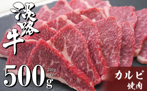 淡路牛カルビ焼肉 500g（250ｇ×2ＰＣ）　[冷凍 牛肉 焼肉セット] 491826 - 兵庫県淡路市