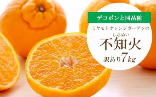 C25-56.ミヤモトオレンジガーデンの「不知火7kg」【訳あり】