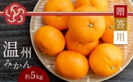 【 贈答用 】 温州みかん 約5kg | フルーツ 果物 くだもの 柑橘 柑橘類 みかん ミカン 温州ミカン ギフト 熊本県 玉名市