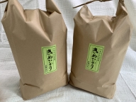 令和3年産　近江米　キヌヒカリ【10kg（5kg×2袋）】環境こだわり米【AB63SM】
