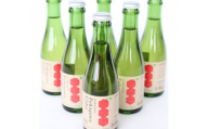 深川産りんご使用果実酒ふかがわシードル飲みきりサイズ6本＜中口 200ml×6本セット＞【1345825】