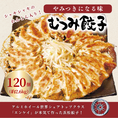  浜松餃子 むつみ餃子120個入り(30個入り×4P)　冷凍便 レンコンたっぷり タレ、辛子付 むつみ屋 産地直送 惣菜 加工品 餃子 ぎょうざ ギョーザ 【配送不可：離島】  49244 - 静岡県浜松市