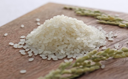 令和5年産！有機・減農薬栽培米キヌヒカリ(白米)4kg 49272 - 兵庫県加西市