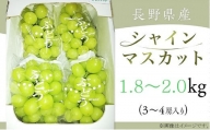 2501 長野県産シャインマスカット 1.8～2.0kg【上條農園】