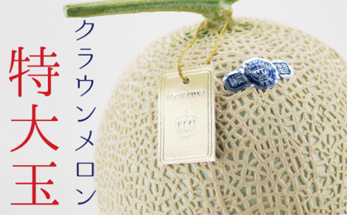 クラウンメロン 白等級 特大玉 １玉 果物類 メロン 青肉 マスクメロン フルーツ 果物 高級メロン 静岡 静岡県 森町 49310 - 静岡県森町
