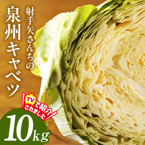 【スピード発送】射手矢さんちの泉州キャベツ 10kg【新鮮 野菜 泉佐野産 やさい 射手矢農園 高評価 数量限定 TVで紹介！】 G3668 493122 - 大阪府泉佐野市