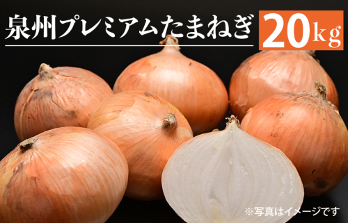 射手矢さんちの泉州プレミアムたまねぎ 20kg 【玉ねぎ タマネギ 玉葱 甘い 野菜 国産 訳あり サイズ不揃い 期間限定 オニオン スライス サラダ カレー シチュー バーベキュー BBQ 肉じゃが】 G1320 493136 - 大阪府泉佐野市