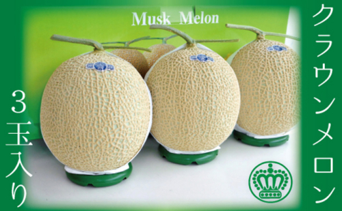クラウンメロン 3玉 白等級 メロン 果物 フルーツ 旬の果物 旬のフルーツ 青肉 高級フルーツ マスクメロン 静岡 森町 49314 - 静岡県森町