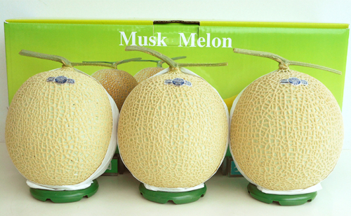 クラウンメロン 3玉 山等級 メロン 果物 フルーツ 旬の果物 旬のフルーツ 青肉 高級フルーツ マスクメロン 静岡 森町 49319 - 静岡県森町