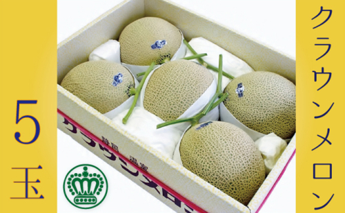 クラウンメロン大玉（白等級）５玉詰 果物類 メロン青肉 5玉  49320 - 静岡県森町