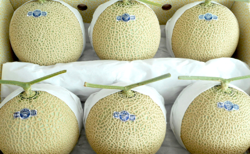 クラウンメロン『山等級』６玉詰 果物類 メロン青肉 6玉  49322 - 静岡県森町