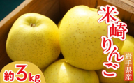 【清水農園】フレッシュ りんご 「シナノゴールド」3kg 【 リンゴ 林檎 果物 フルーツ 期間限定 】2024年10月頃から順次発送