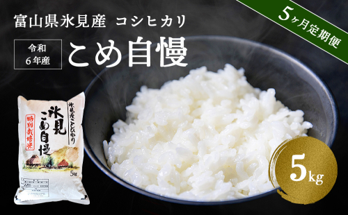 ＜5ヶ月定期便＞令和6年産富山県産特別栽培米コシヒカリ《こめ自慢》5kg 494062 - 富山県氷見市