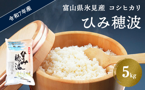 令和7年産 富山県産 コシヒカリ 《ひみ穂波》 5kg ＜2025年10月上旬以降順次発送＞ 富山県 氷見市 こしひかり 5kg  494065 - 富山県氷見市
