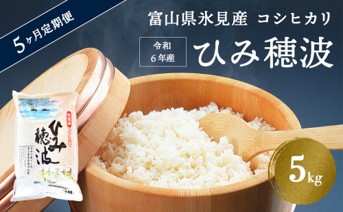 【5ヶ月定期便】 令和6年産 富山県産 コシヒカリ 《ひみ穂波》 5kg 富山県 氷見市 こしひかり 5kg  合計 25kg お届け 494067 - 富山県氷見市