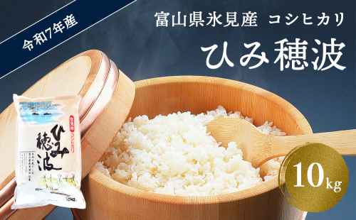 令和7年産 富山県産 コシヒカリ 《ひみ穂波》 10kg　＜2025年10月上旬以降順次発送＞ 富山県 氷見市 こしひかり 494070 - 富山県氷見市
