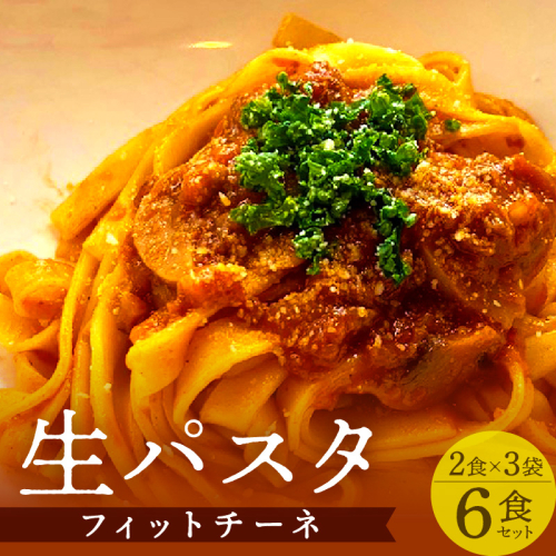 《14営業日以内に発送》【北海道産小麦100％使用】津村製麺所がつくる本格 生パスタ フィットチーネ 6食入 ( パスタ 麺 麺類 北海道 北見市 生麺 モチモチ )【003-0031】 494082 - 北海道北見市