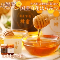 国産蜂蜜ギフト 500g×2本　CD02