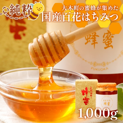 国産蜂蜜ギフト 1,000g　白ラベル　CD01 494093 - 福岡県大木町