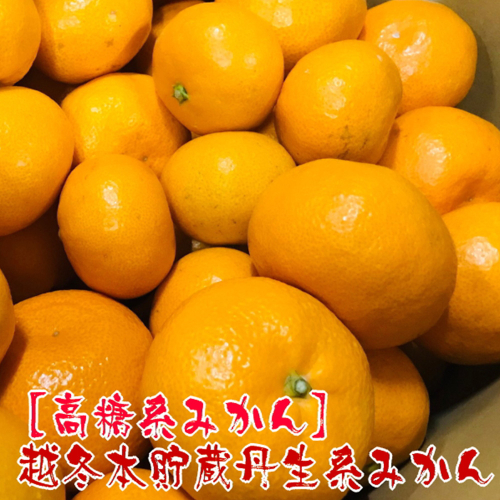 AB7068n_【高糖系みかん】越冬本貯蔵 丹生系みかん 約5kg 494113 - 和歌山県湯浅町