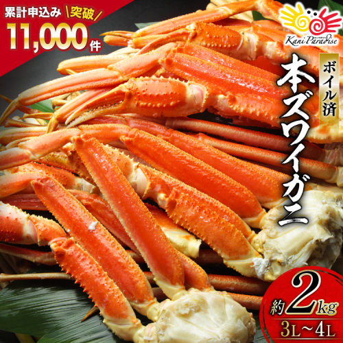 ボイル済み 本ずわいがに 脚 3L～4L 総重量 2kg [カネダイ 宮城県 気仙沼市 20564764] カニ 蟹 ズワイガニ ずわい蟹 ズワイ蟹 ずわい ズワイ 海鮮 魚介類 カニ脚 蟹脚 足 ボイル ご褒美 494118 - 宮城県気仙沼市