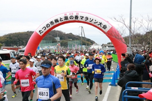 G-48 たつの市梅と潮の香マラソン大会参加権（一般の部・ハーフ／10km） 494373 - 兵庫県たつの市