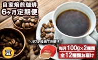 コーヒー 定期便 6ヶ月 自家焙煎 Morrow珈琲 100g×2種 豆