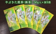 令和5年の新茶 お茶処静岡 栽培農家の八十八夜新茶 5袋