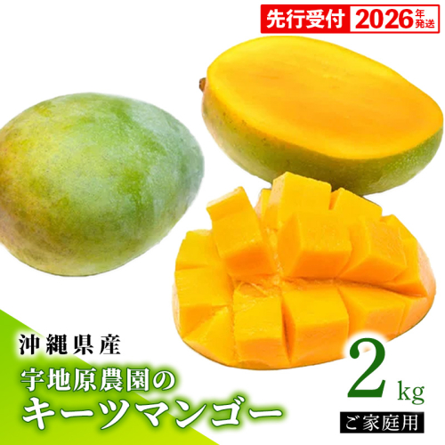 【先行受付】【2026年発送】宇地原農園の沖縄県産 家庭用キーツマンゴー約2kg - 先行予約 沖縄県産 産地直送 南国フルーツ 旬の味覚 季節の果物 ご自宅用 希少種 沖縄県 八重瀬町 495014 - 沖縄県八重瀬町