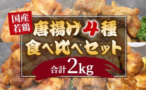 国産 若鶏 唐揚げ セット 4種類 2kg（500g×4p） 495027 - 熊本県八代市