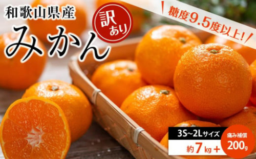 和歌山県産 糖度9.5度 以上 訳あり みかん 7kg 傷み補償+200g 3S ～ 2Ｌサイズ混合【NY6】 495549 - 和歌山県海南市