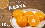 『 みかん王国 』 の 青島みかん 10kg | フルーツ 果物 くだもの 柑橘 柑橘類 みかん ミカン 熊本県 玉名市