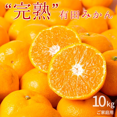 【完熟濃厚】完熟 有田みかん 10kg 【訳あり 家庭用】_BG6112n 496477 - 和歌山県湯浅町
