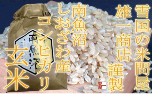 ●玄米● 【定期便5Kg×12ヶ月】 生産者限定 南魚沼しおざわ産コシヒカリ 497589 - 新潟県南魚沼市