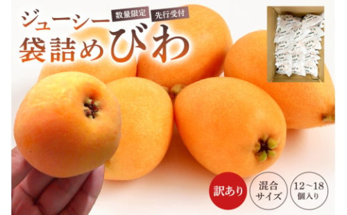 【先行受付 2026年5月中旬～6月中旬発送予定】【数量限定】生産者直送　ジューシー袋詰めびわ（訳あり混合サイズ12～18個） mi0057-0001 【果物 フルーツ デザート おやつ 枇杷 ビワ 国産 特産品】