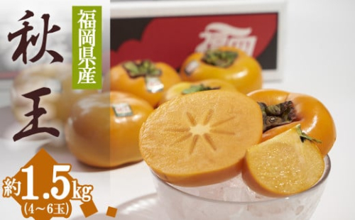 3V18 福岡限定!ブランド柿「秋王(あきおう)」約1.5kg(4-6玉) 498346 - 福岡県東峰村