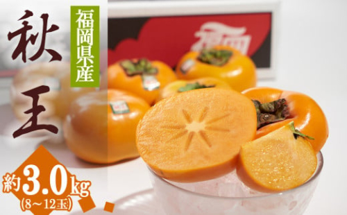 3V19 福岡限定!ブランド柿「秋王(あきおう)」約3kg(8-12玉) 498350 - 福岡県東峰村