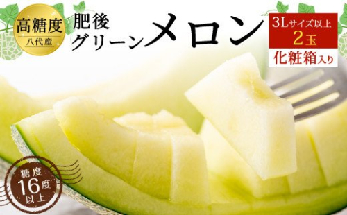 【先行予約】高糖度 2023年八代産肥後グリーンメロン 3Lサイズ以上 2玉 化粧箱入 498363 - 熊本県八代市