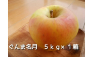 [数量限定]ぐんま名月 5kg×1箱