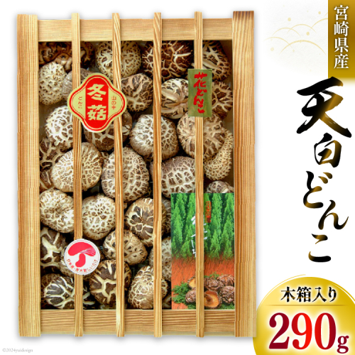 宮崎県産 乾椎茸 ギフト 天白 どんこ 「K-100」 290g 肉厚 [岡田商店 宮崎県 美郷町 31ac0037] 乾燥 椎茸 干し椎茸 しいたけ 国内産 九州産 宮崎県産 ギフト 贈り物 プレゼント 贈答用 化粧箱 木箱 専用箱 送料無料 父の日 母の日 希少 貴重 49856 - 宮崎県美郷町