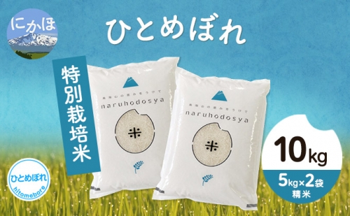 令和4年産  秋田県産 特別栽培米 ひとめぼれ10kg（5kg×2袋 精米）