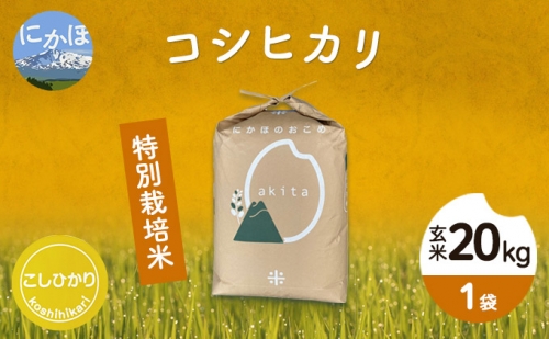 令和4年産 秋田県産 特別栽培米 コシヒカリ 20kg（20kg 1袋 玄米） 498630 - 秋田県にかほ市