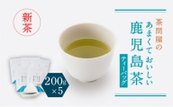 【新茶】【2024年6月30日までの申込限定】茶問屋のあまくておいしい鹿児島茶ティーバッグ　5本セット　K112-008_shincha