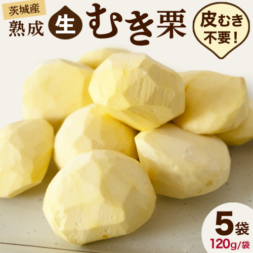 【 吉原農場 の 完熟栗 】 熟成 生むき栗 5袋 ( 120g × 5袋 ) 令和7年産 完熟 栗 くり クリ 栗ごはん 贈答 ギフト 果物 フルーツ 数量限定 旬 秋 冬 正月 おせち [CX003ci] 499407 - 茨城県筑西市