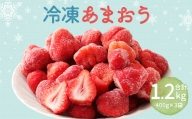 冷凍あまおう 1.2kg (400g×3) いちご フルーツ 果物